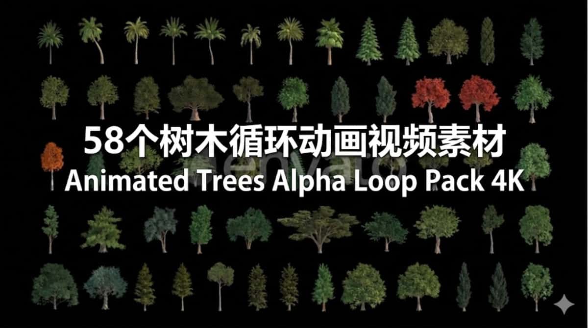 AE模板下载|58个树木循环动画视频素材 Animated Trees Alpha Loop Pack 4K